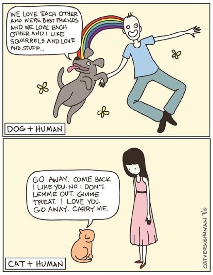 Cats vs dogs