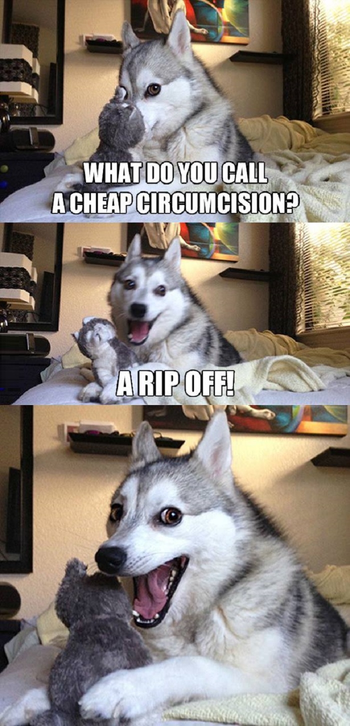 Pun dog