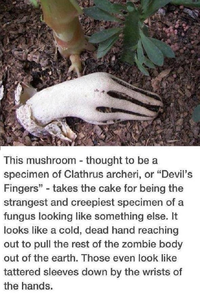 Dead man's hand