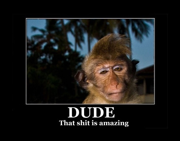 That s**t is amazing