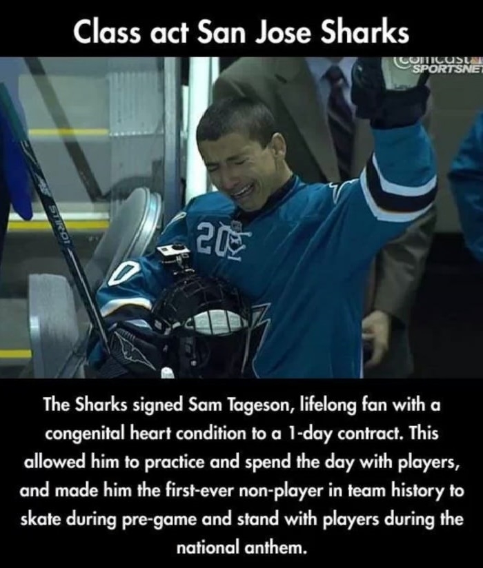 Faith in humanity restored