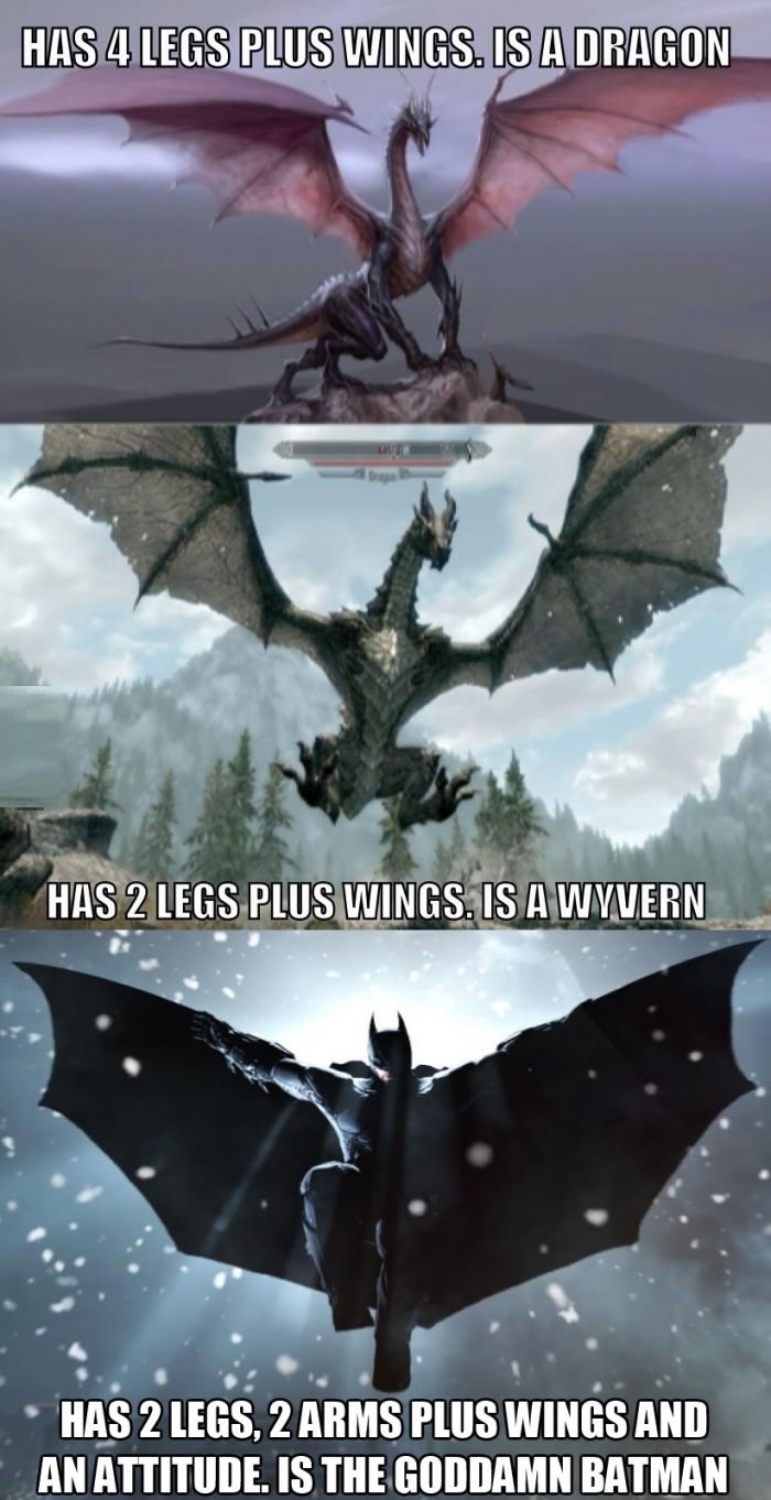Dragon, Wyvern & Batman