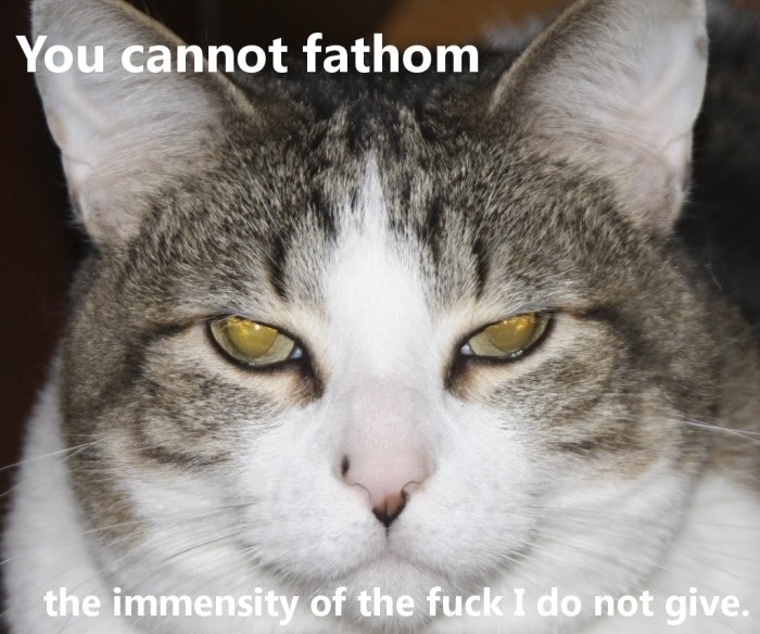 You cannot fathom...