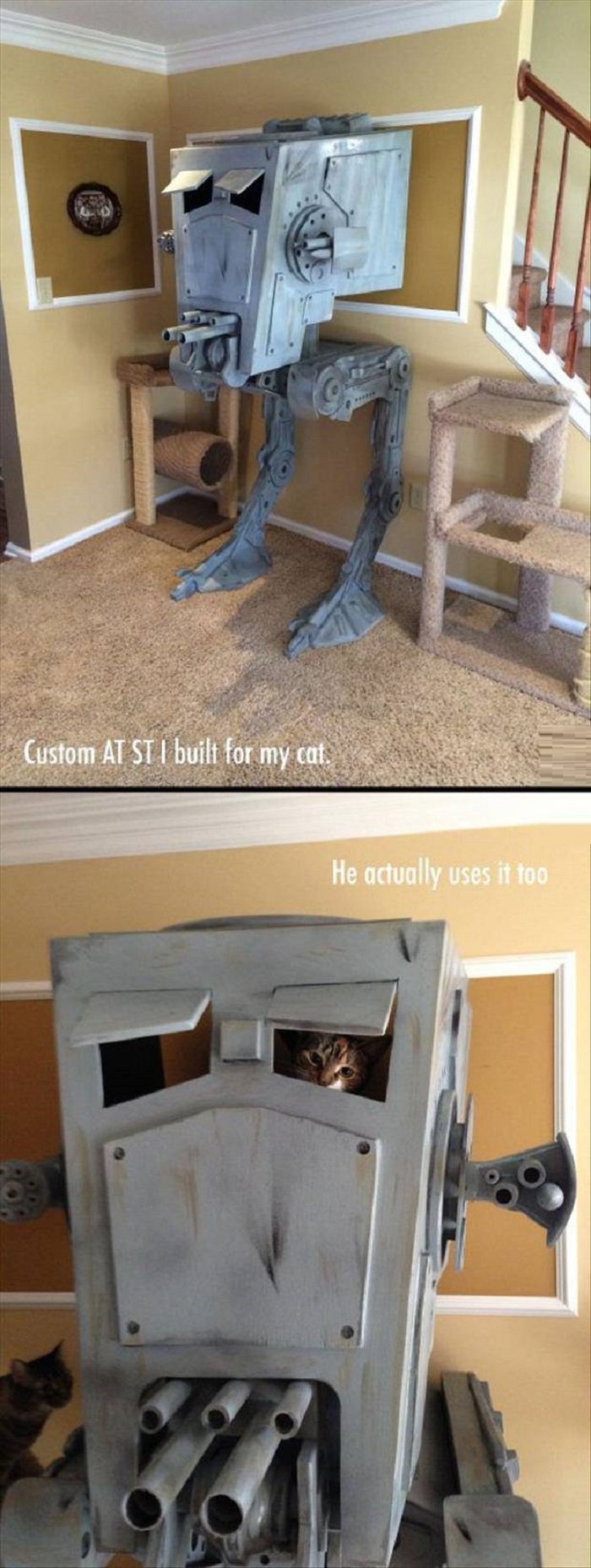 Cat playhouse