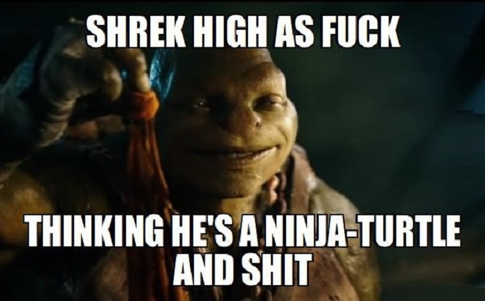 Shrek high as f**k