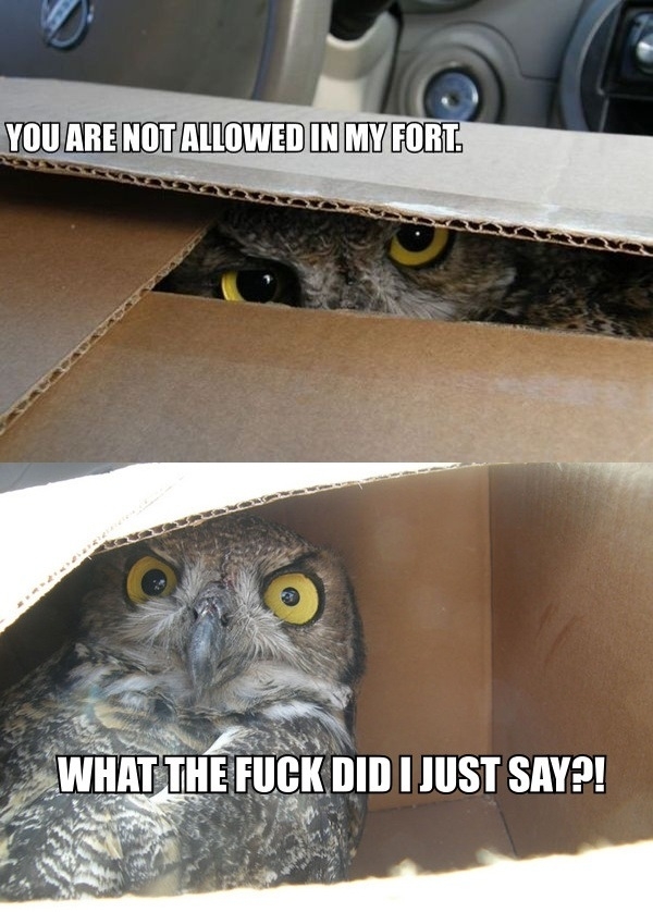 WTF did I just say?!