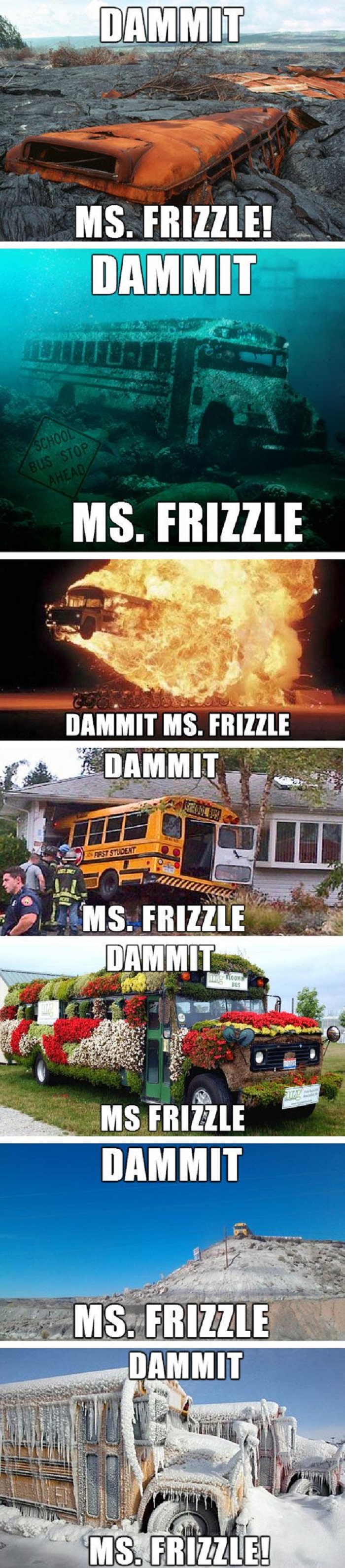 dammit ms.frizzle