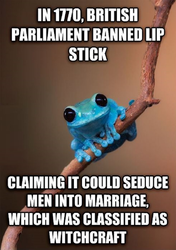 Small Fact Frog