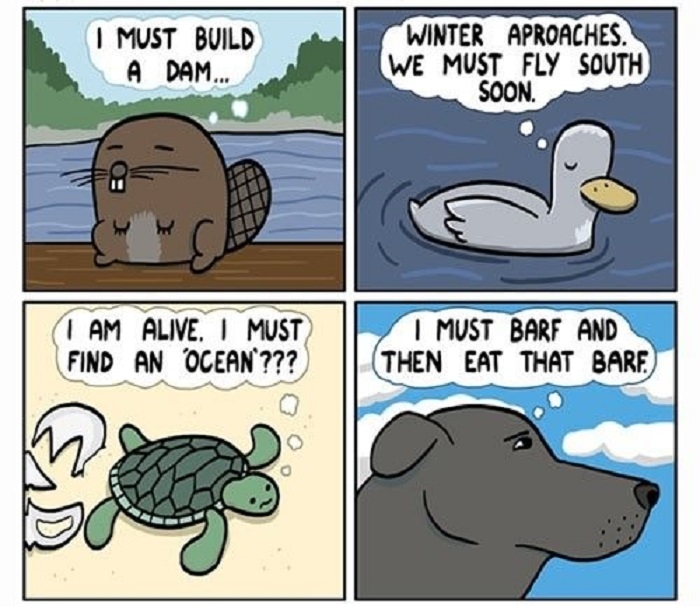 Do what you must
