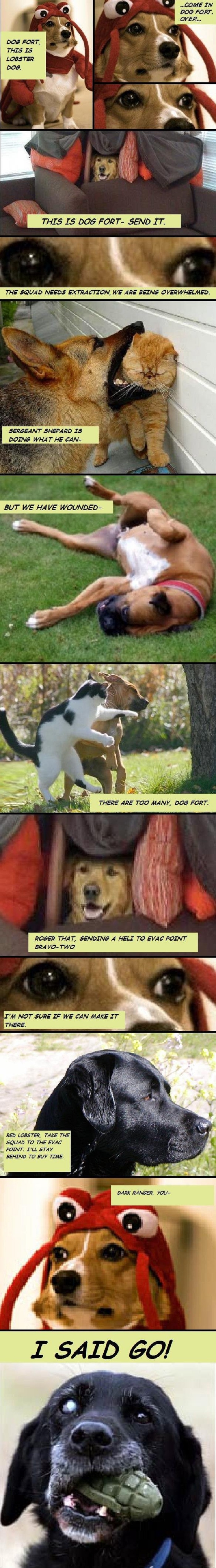 Dogs of War