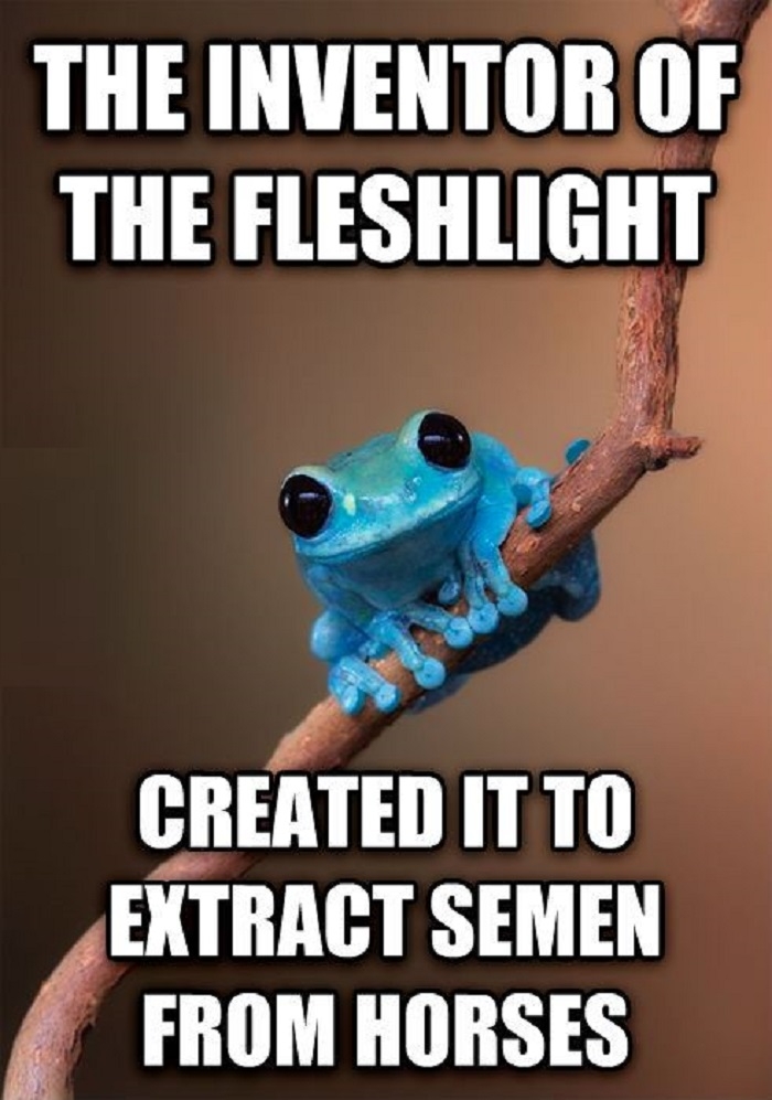 Small fact frog