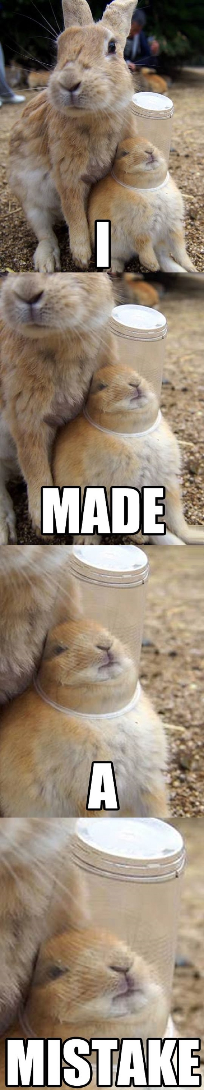 Awww, so cute, wait..