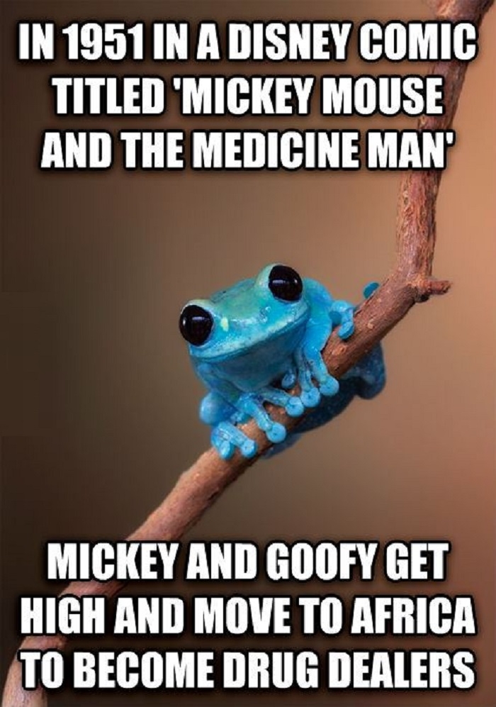 Small fact frog