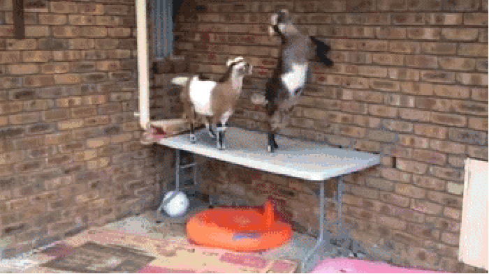 No no no, like THIS!