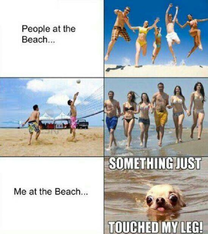 At the beach