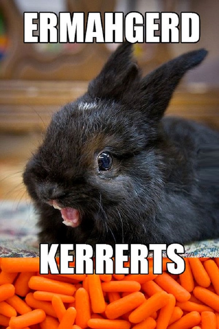 Ermahgerd, kerrerts!