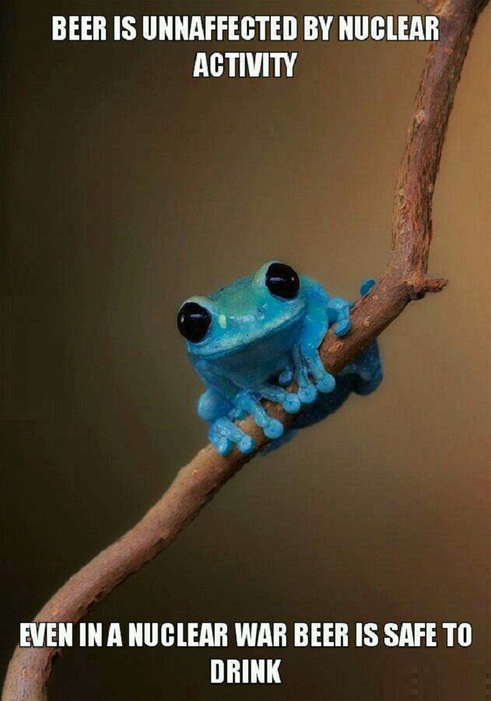 Small fact frog