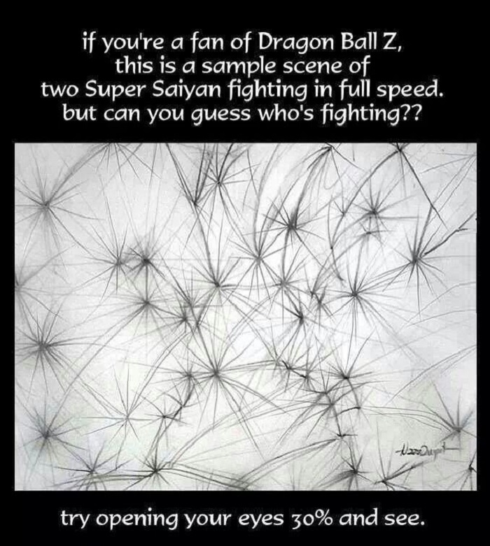 DBZ fans will know
