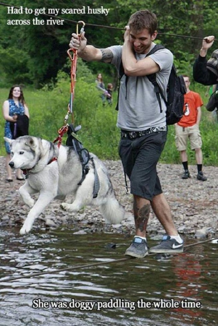 Moon moon strikes again!