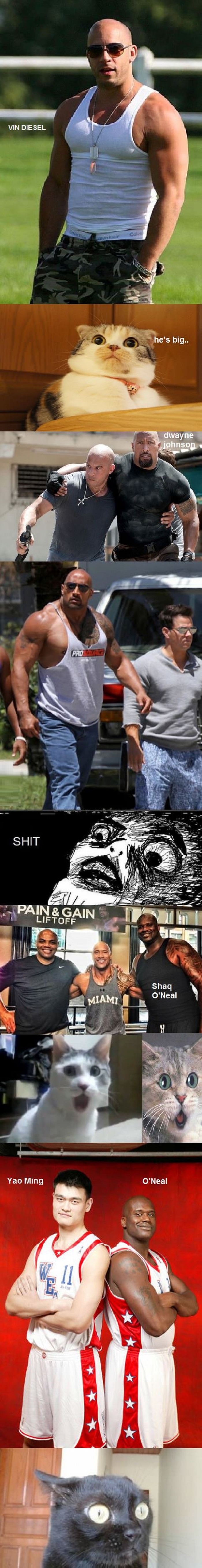 Big is a relative term