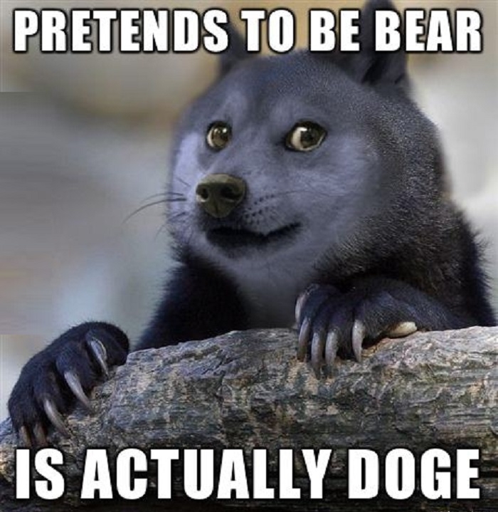 Wow such confession