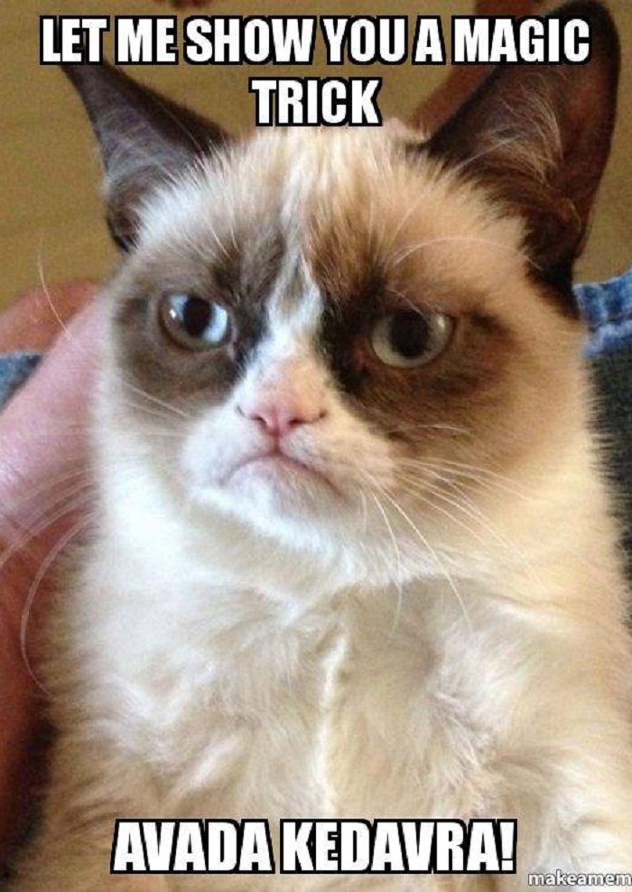 Grumpy Potter