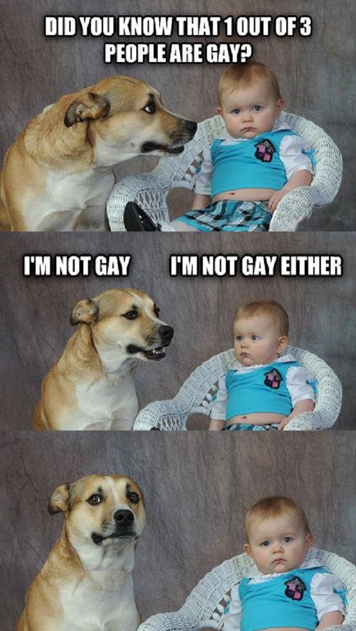 Dadjoke dog is on to you