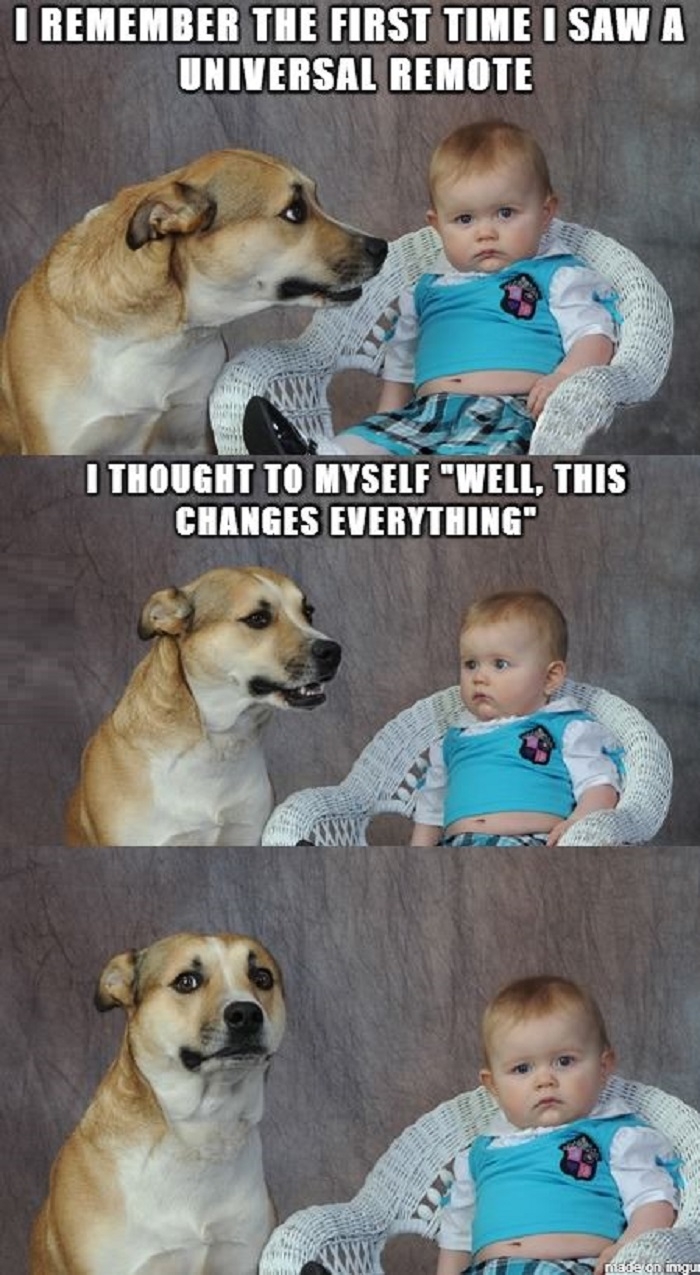 Dad joke dog
