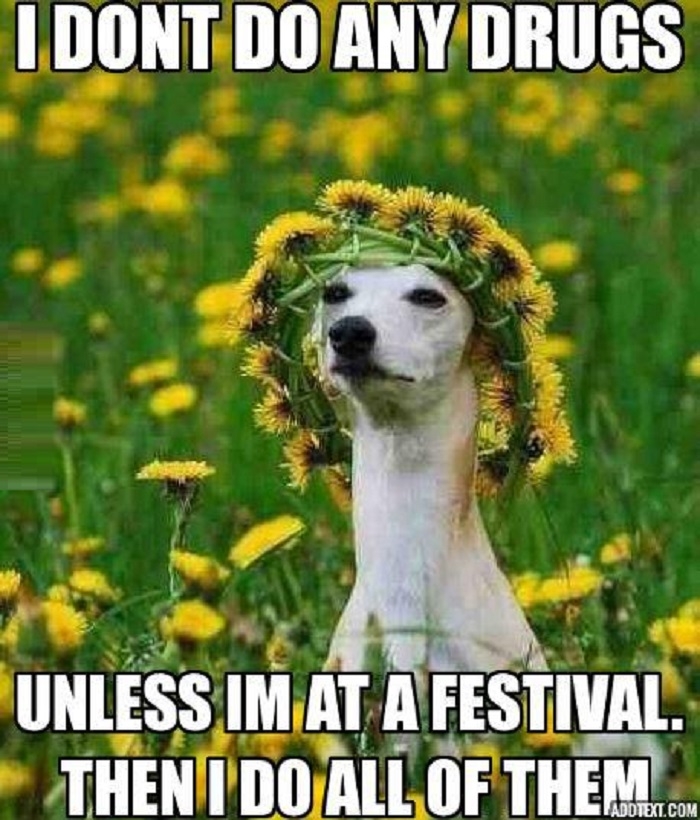 Festival girl