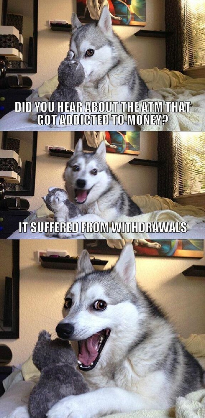 Pun dog