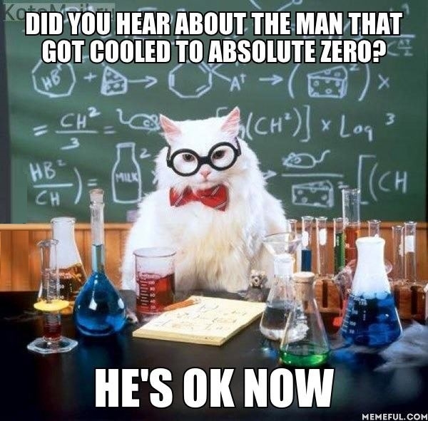 Chemistry cat
