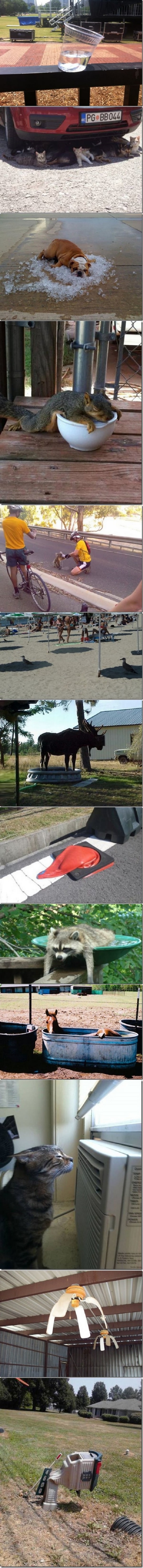 You know it�s hot when..