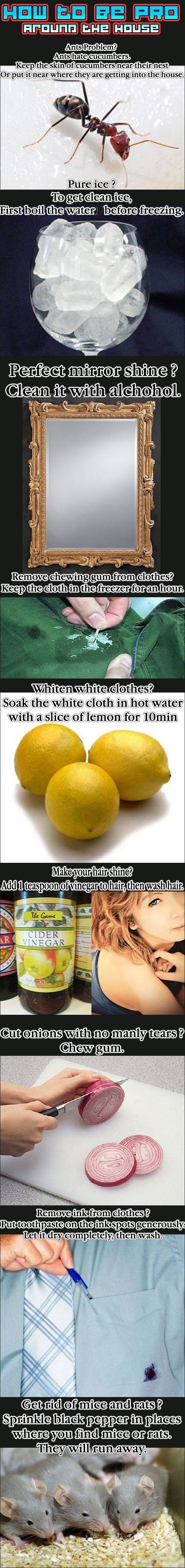 Life Tricks