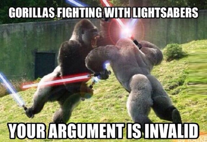 Gorillas fighting