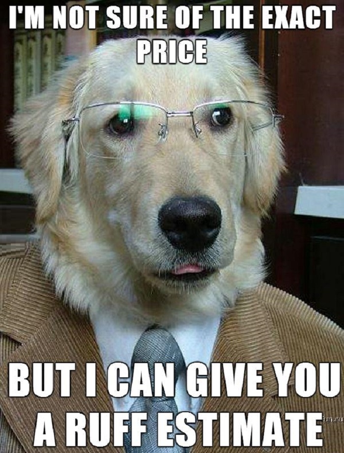 Business Dog