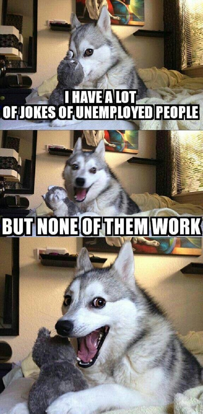 Pun Dog