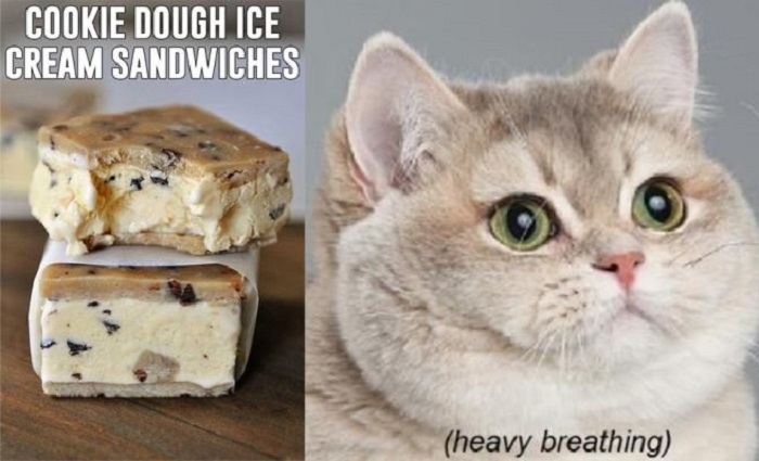 Cookie dough ice cream