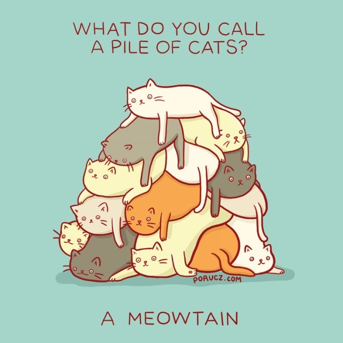 A meowtain