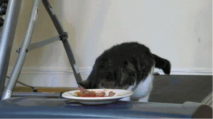 F**k it I'm not hungry