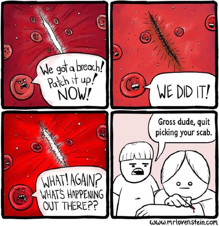Don't pick at your scabs