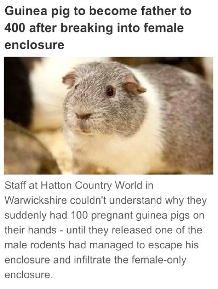 You h*rny little b*stard!