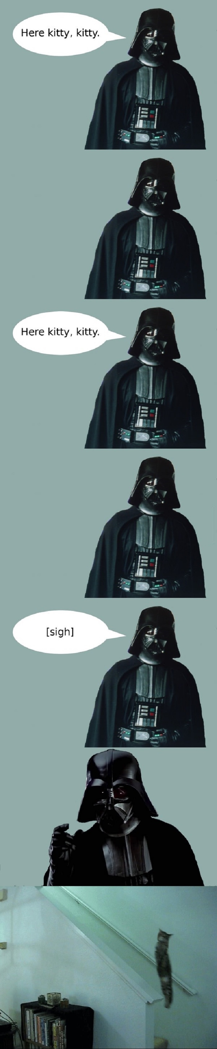 Here kitty..