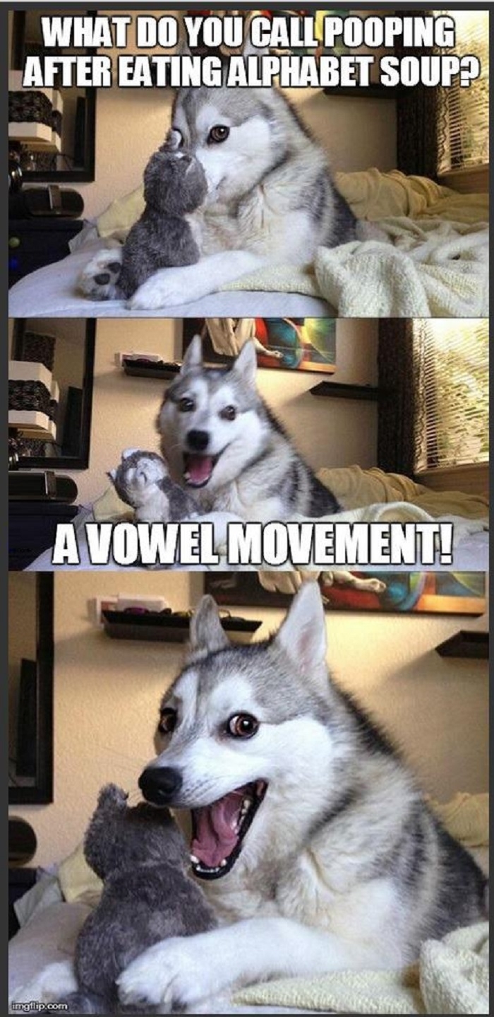 Pun dog