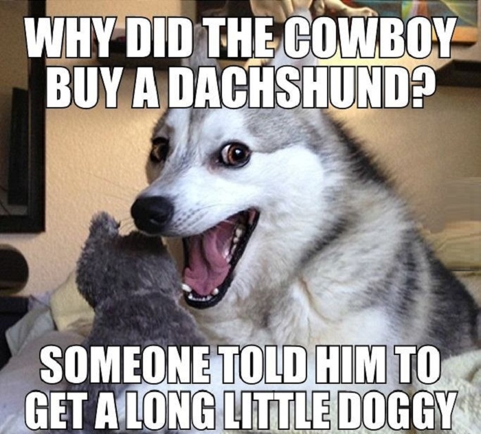 Pun dog