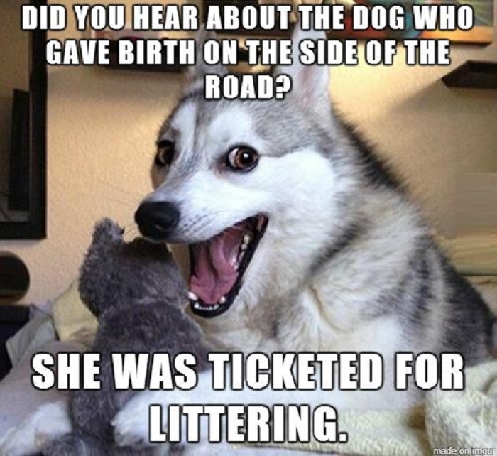 Pun dog