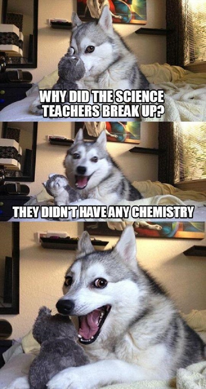 Pun dog