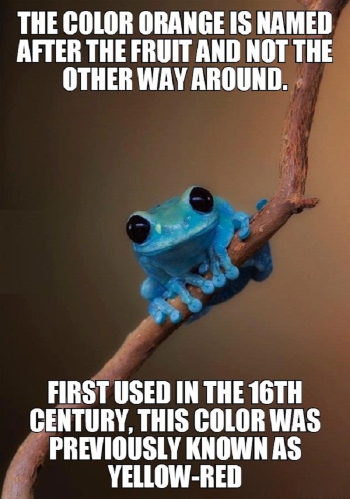 And now you know