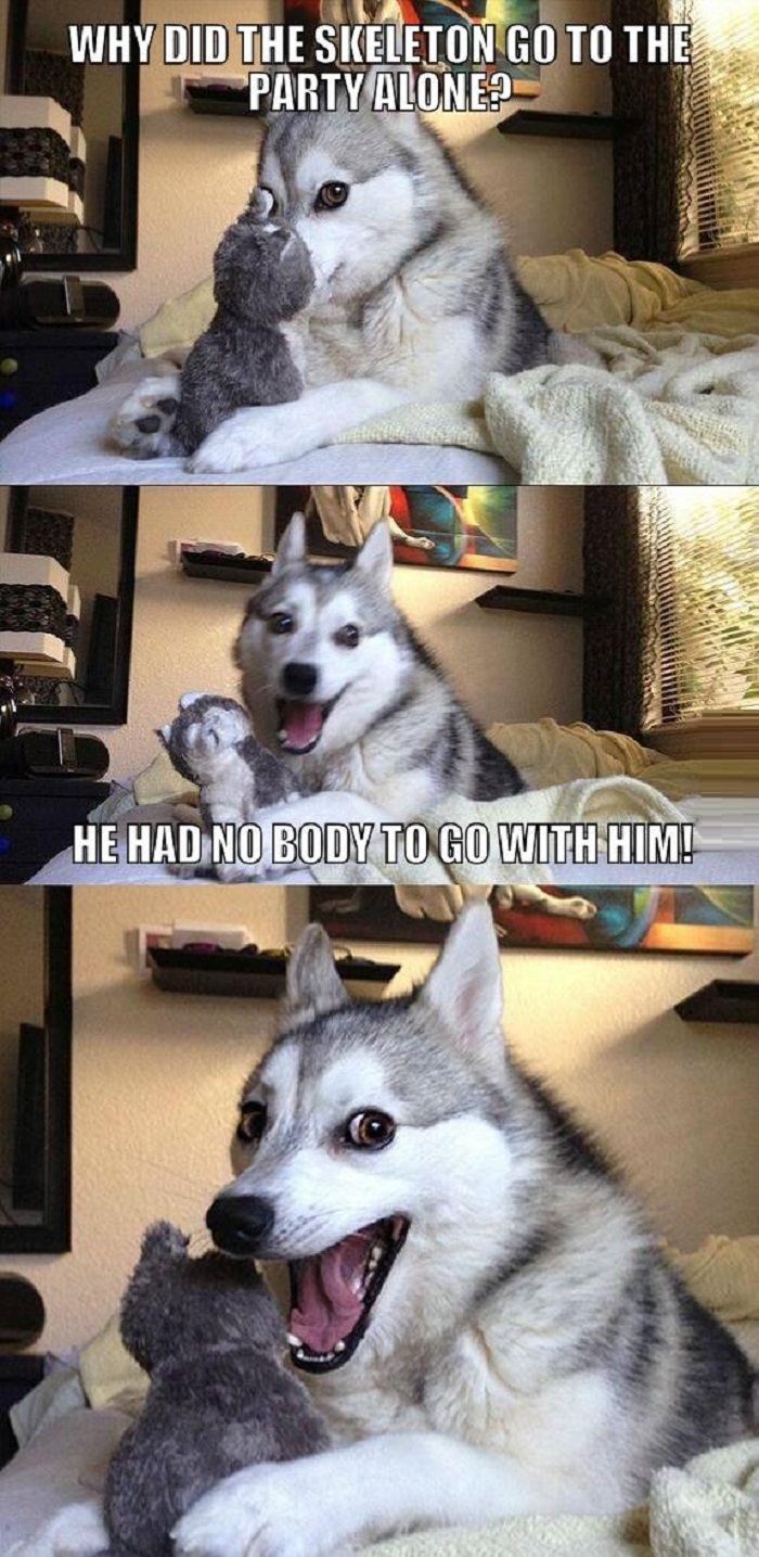 Pun dog