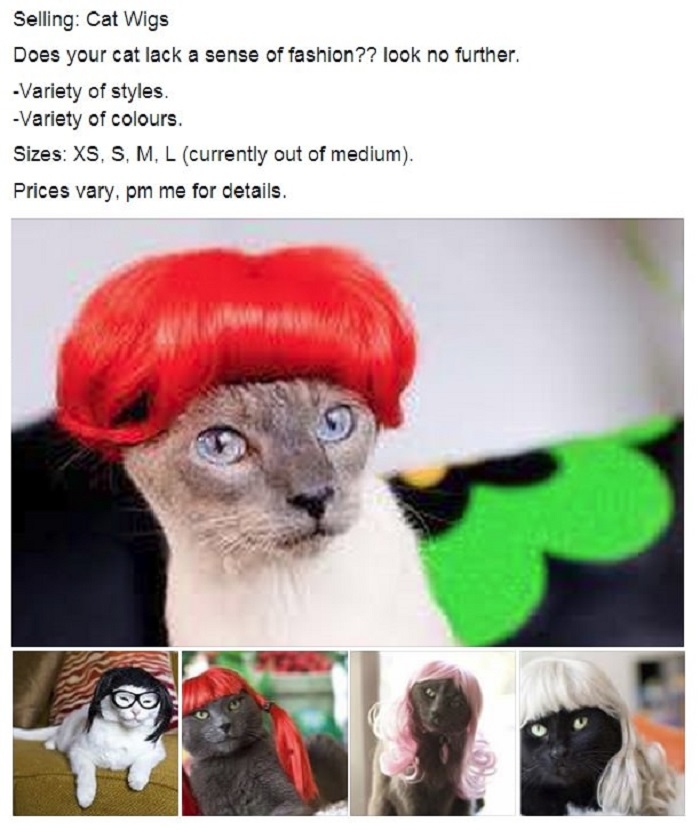 Selling cat wigs
