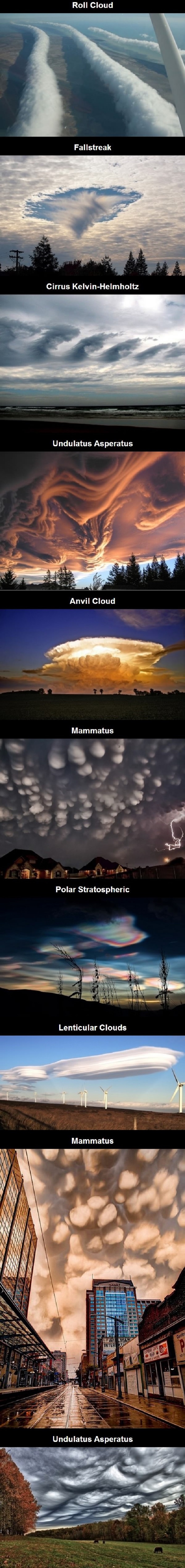 Damn nature, you scary